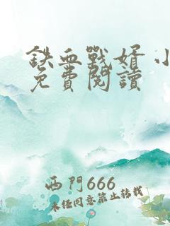 铁血战婿 小说免费阅读