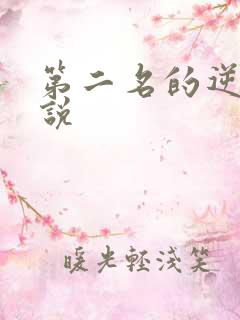第二名的逆袭小说