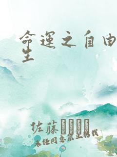 命运之自由的新生