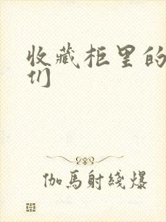 收藏柜里的男人们