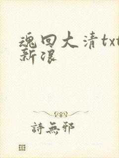 魂回大清txt新浪