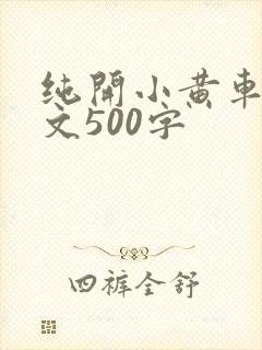 纯开小黄车小短文500字