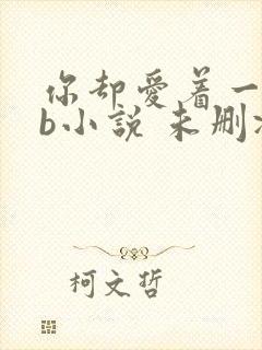 你却爱着一个sb小说 未删减完整版百度云