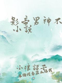 影帝男神不节制 小说