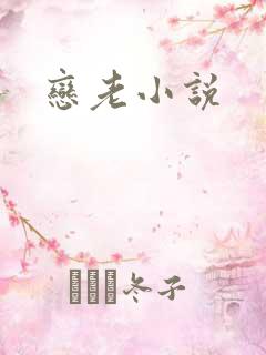 恋老小说