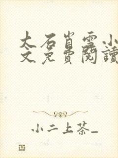 大石肖雪小说全文免费阅读