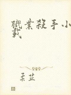 职业杀手小说下载