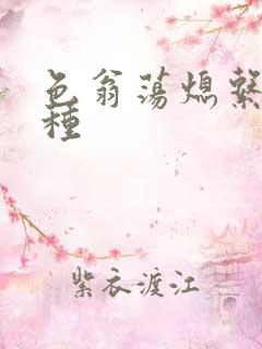 色翁荡熄系列借种