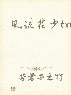 风流花少txt