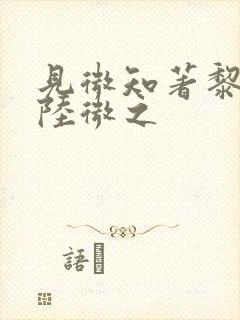 见微知著黎见卿陆微之