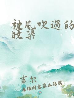 被风吹过的夏天晓渠