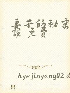 妻子的秘密 小说 免费