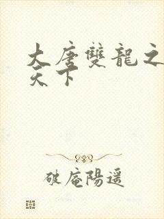 大唐双龙之无敌天下