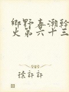 乡野春潮干柴烈火第六十三章