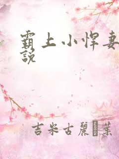 霸上小悍妻 小说