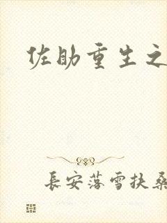 佐助重生之死神