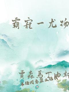 霸宠一尤物老婆