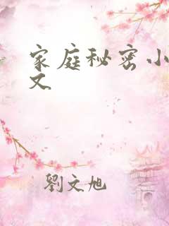家庭秘密小说全文