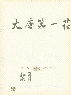 大唐第一庄