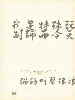 我是特殊玩具定制师而今天的客户