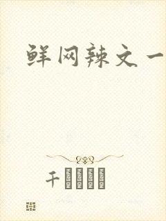 鲜网辣文一对一
