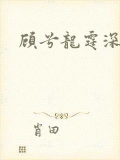 顾兮龙霆深