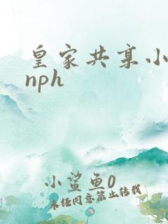 皇家共享小公主nph