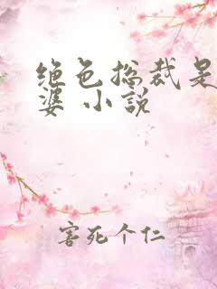 绝色总裁是我老婆 小说