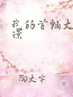 我的首辅大人陆璟