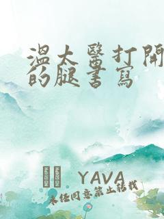 温太医打开眉庄的腿书写