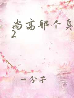 尚高那个臭小子2
