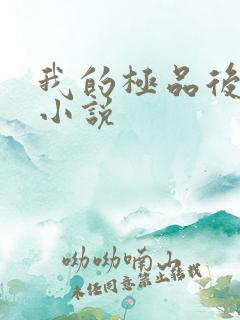 我的极品后宫 小说