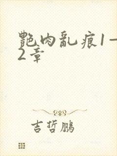 艳肉乱痕1—12章