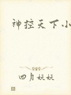 神控天下小说