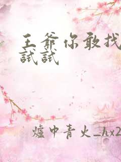 王爷你敢找小三试试