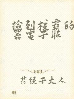 捡到校霸的遥控器电子版