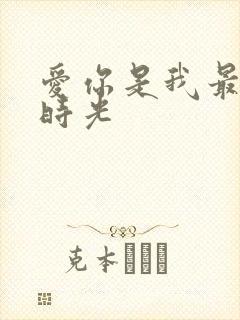 爱你是我最好的时光