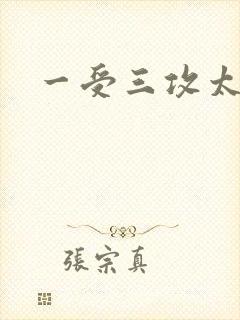 一受三攻太涨了