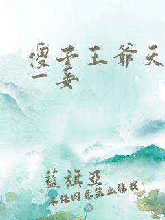 傻子王爷天下第一妾