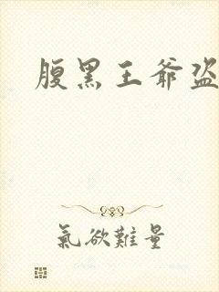 腹黑王爷盗墓妃