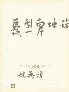 巨型白地菇多少钱一斤