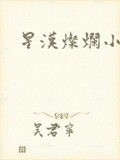 星汉灿烂小说