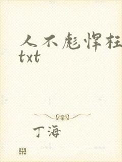 人不彪悍枉少女txt