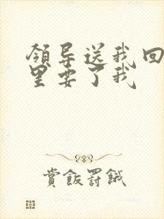 领导送我回家车里要了我