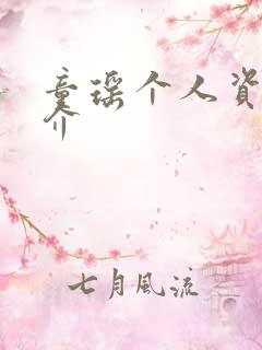 童瑶个人资料简介