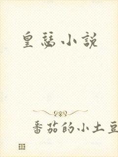 皇瑟小说