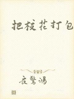 把校花打包带走