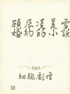 顾辰凌美雪五份婚约的小说名字叫什么