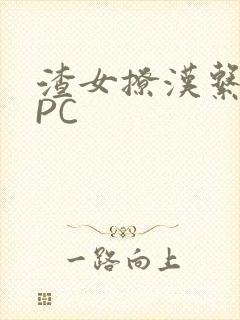 渣女撩汉系统NPC