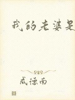 我的老婆是太妹